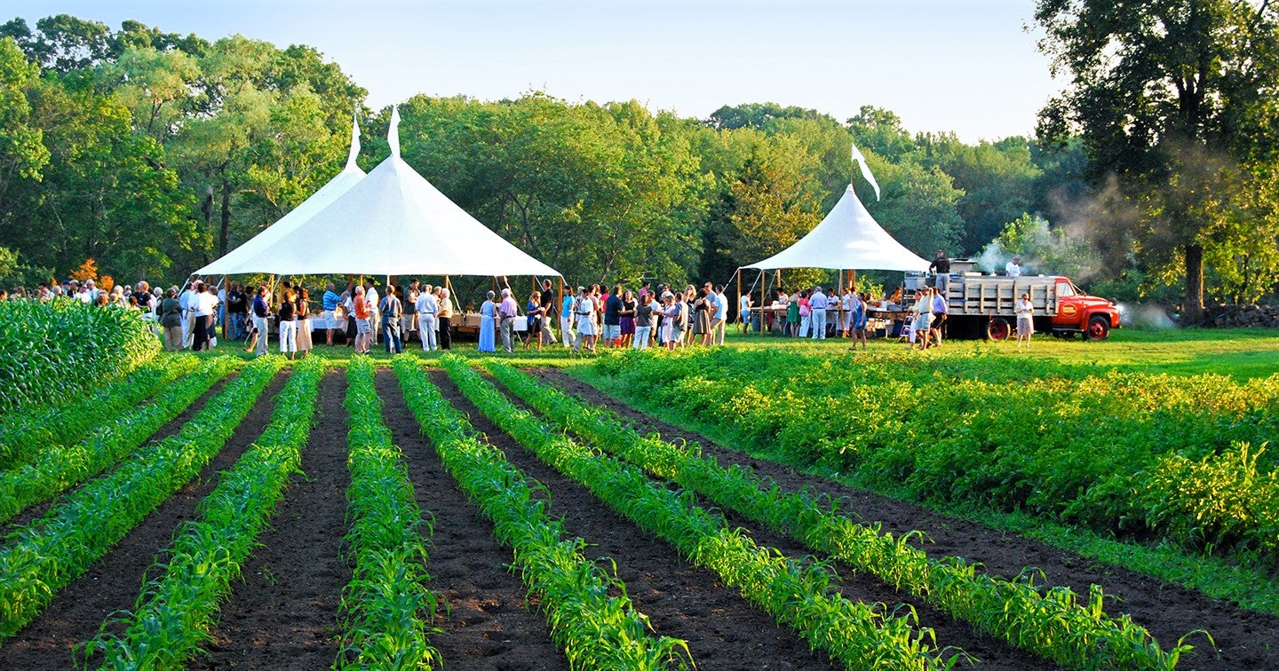 large party of outdoor diners gather under white marquee next to green field