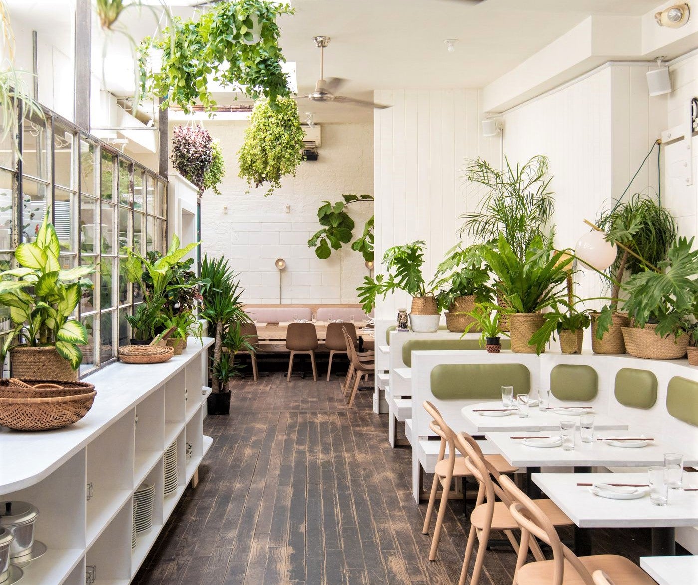 restaurant filled with sunlight and wide array of potted green plants