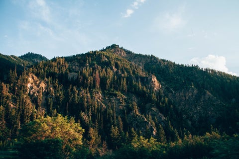create evergreen content