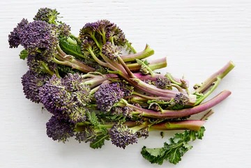 The Joy Of Purple Broccoli