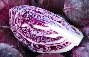 Red Cabbage Nutrition