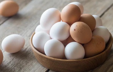 Egg Nutrition