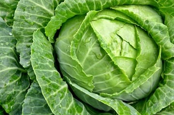 How To Cook With Cabbage