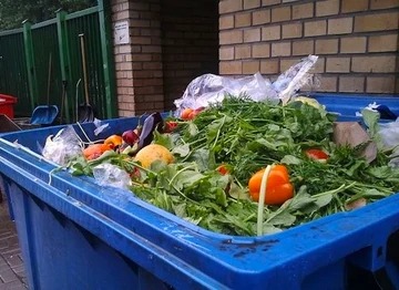 The Problem with Food Waste [and Some Solutions]