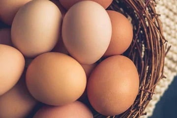 Why Are Organic Eggs Better?