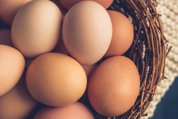 Why Are Organic Eggs Better?