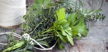 7 Nutritious Herbs You Can Easily Add to Your Diet