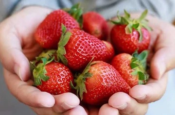 Benefits of Eating Strawberries