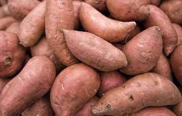 Sweet Potato Nutrition