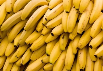 Why I Love Bananas
